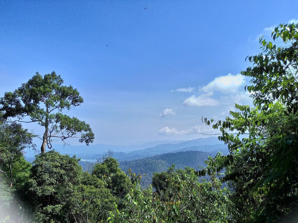Gunung Angsi via Ulu Bendul — galeri 3