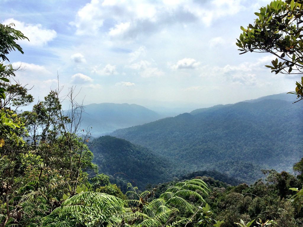 Gunung Angsi via Ulu Bendul — galeri 2