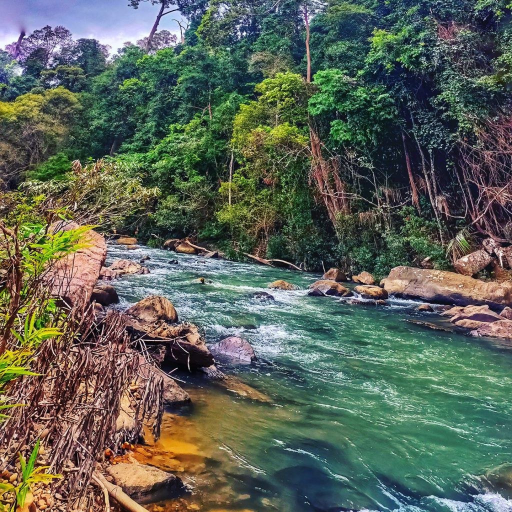 Taman Eko Rimba Ulu Bendul — galeri 4