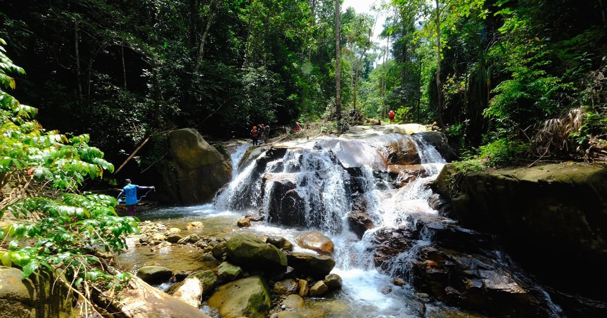 Taman Eko Rimba Lata Kijang — galeri 3