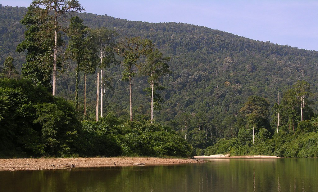 Taman Negeri Kenaboi — galeri 3