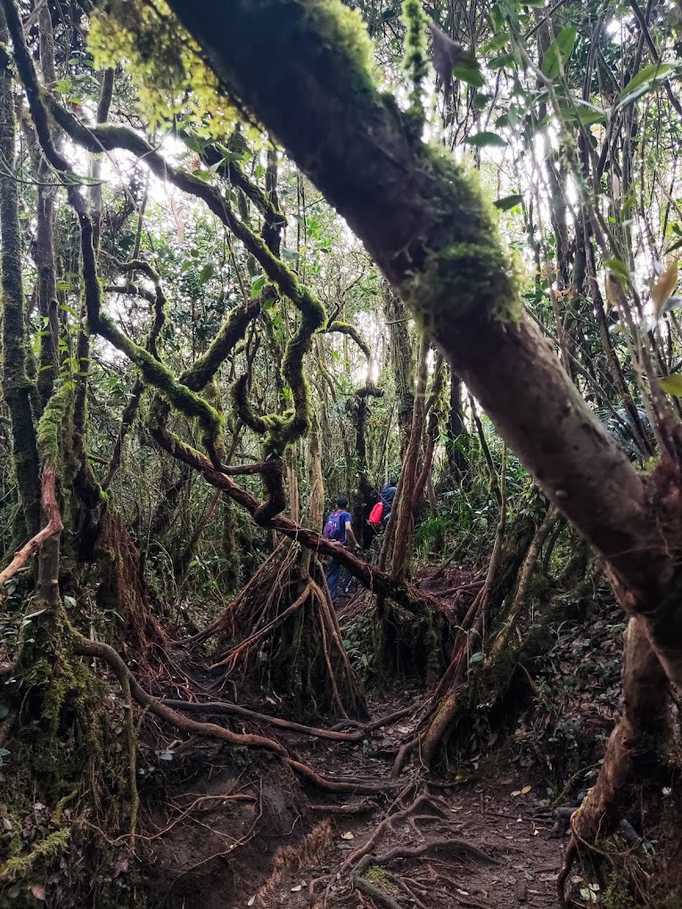 Gambar galeri Gunung Besar Hantu