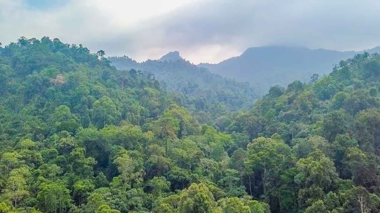Gunung Besar Hantu — galeri 4