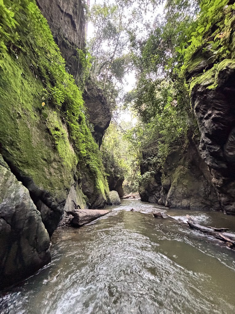 Gambar galeri Jeram Berungut