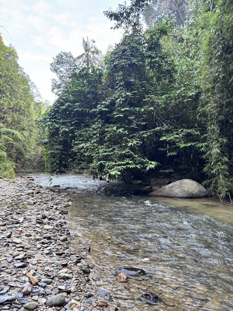 Gambar galeri Jeram Berungut