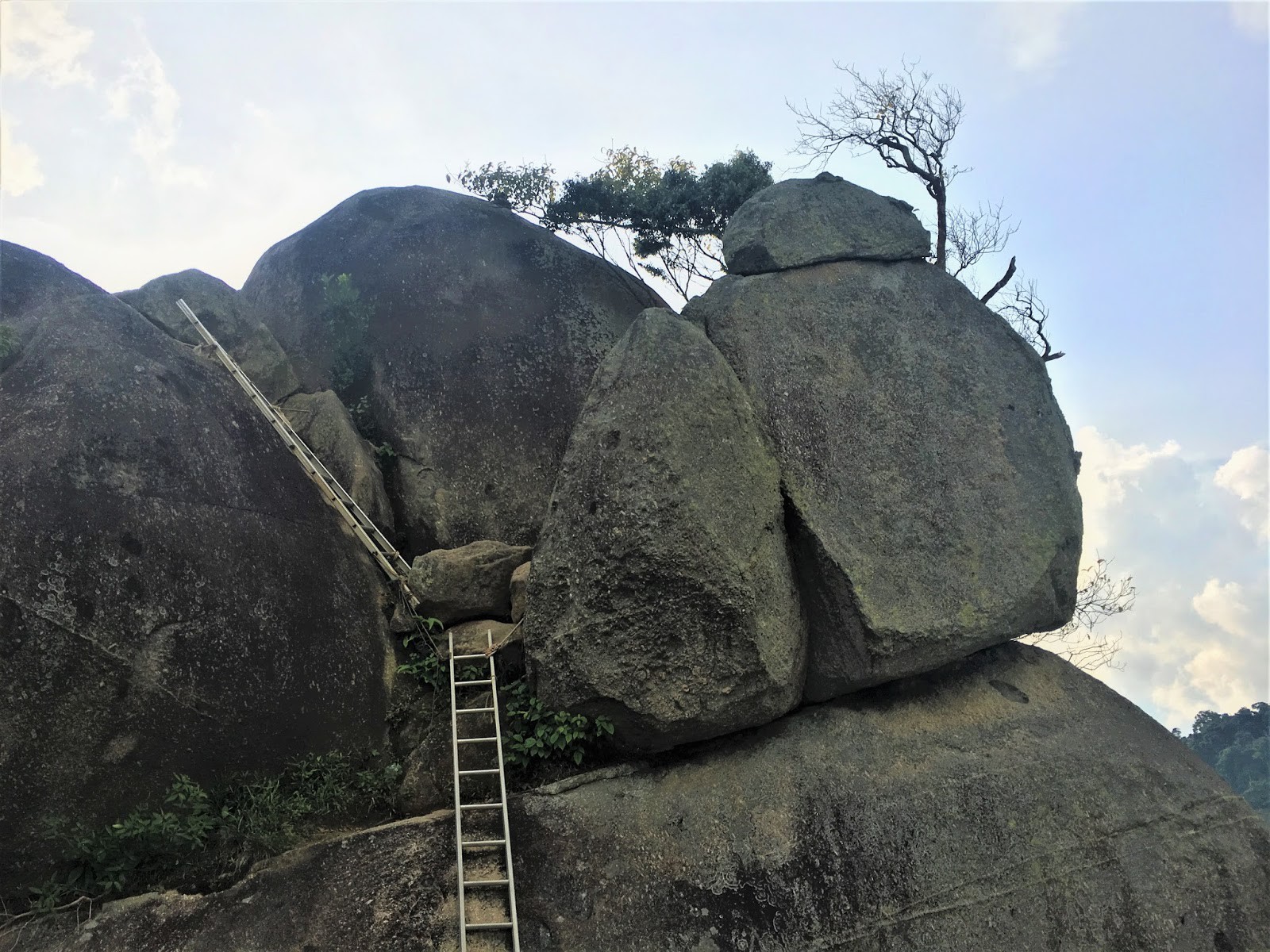 Gunung Datuk Recreational Forest — galeri 3