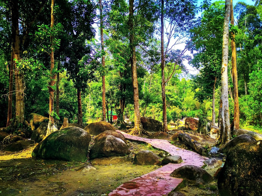 De Bana Recreational Forest — galeri 4