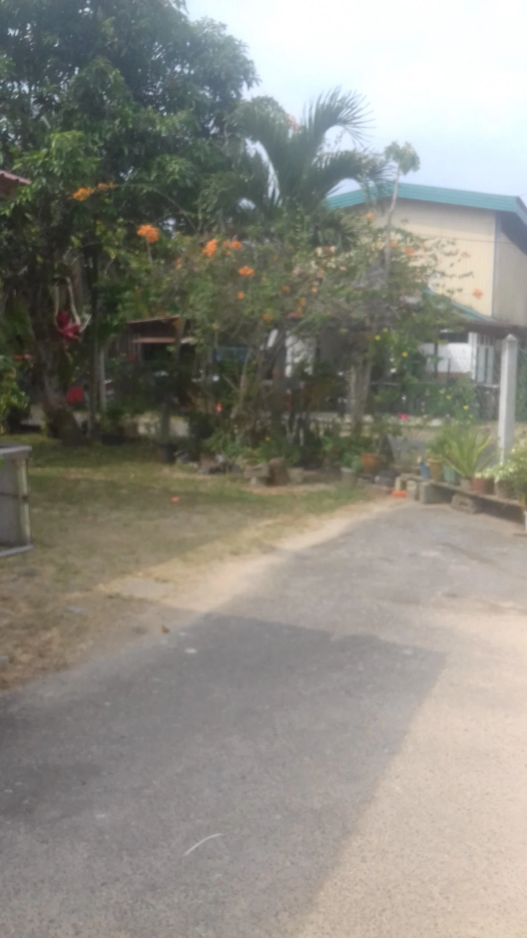 Gambar Masjid Kampung Pianggu