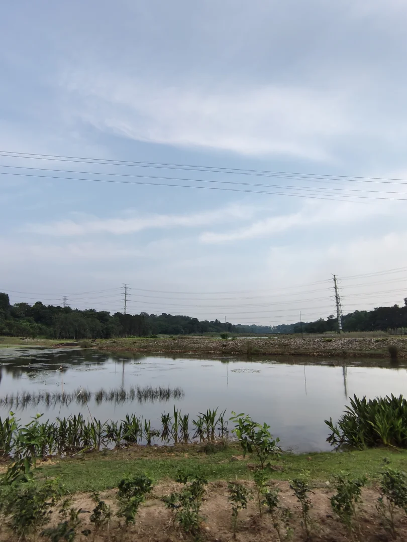 Gambar galeri GLOW Glamping Wetland