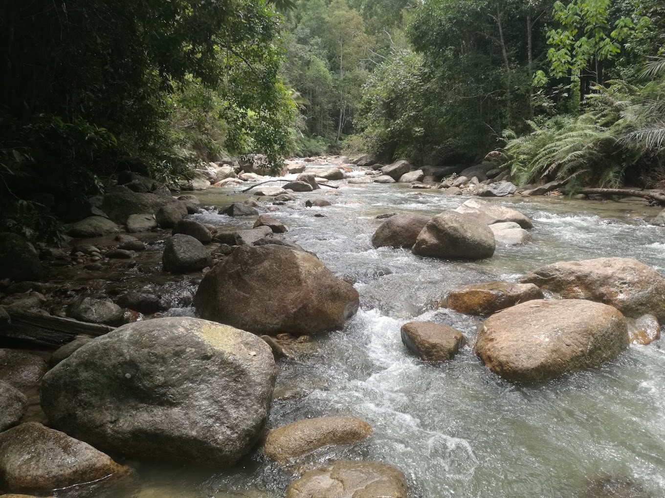Gambar galeri Santuari Ikan Kelah Sungai Chiling