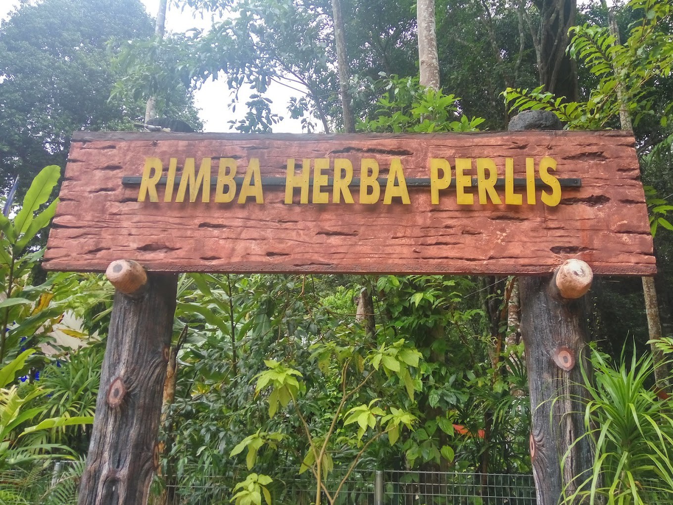 Gambar galeri Rimba Herba Perlis