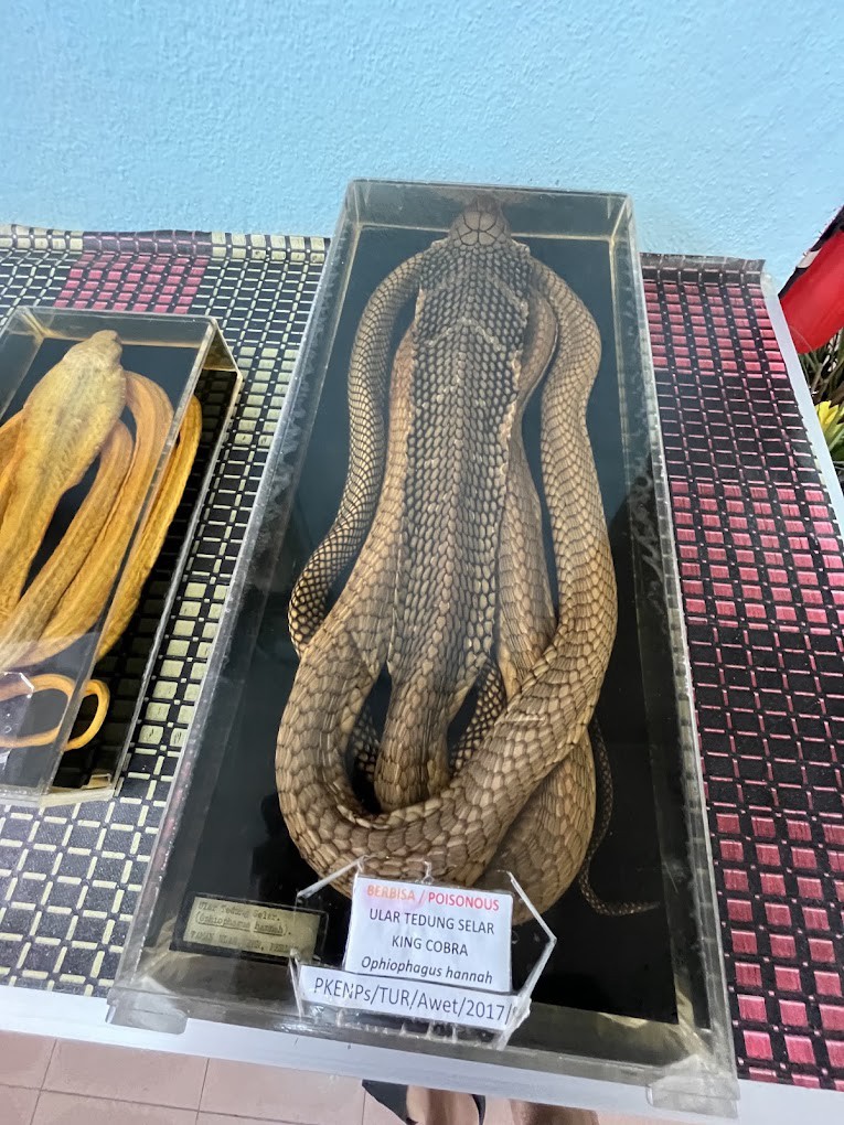 Gambar galeri Taman Ular dan Reptilia Negeri Perlis