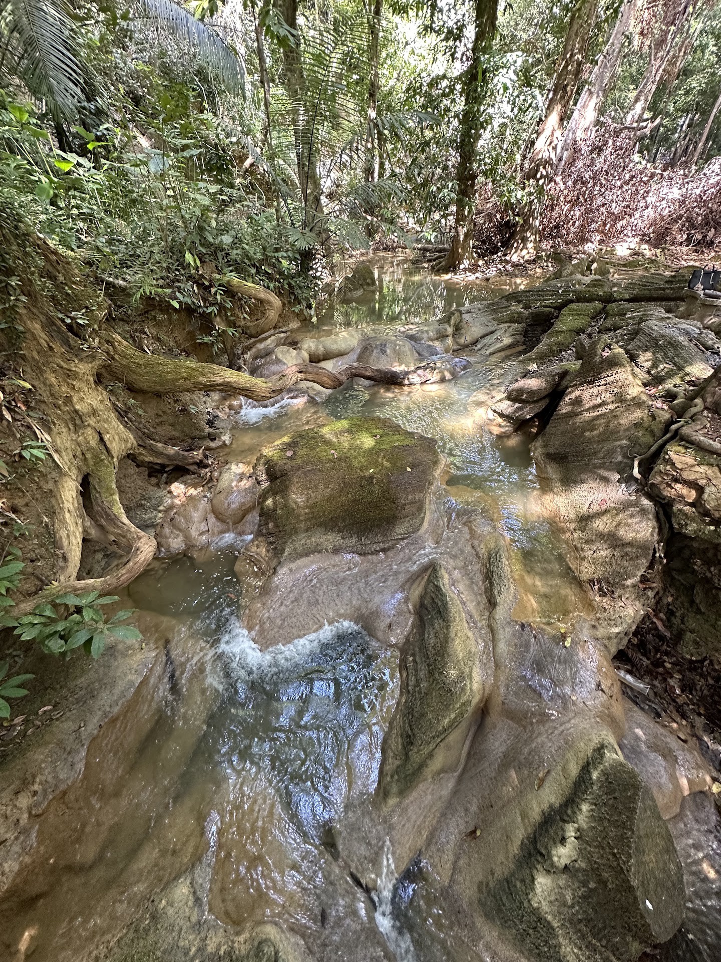 Taman Eko-Rimba Bukit Ayer — Aliran sungai berbatu