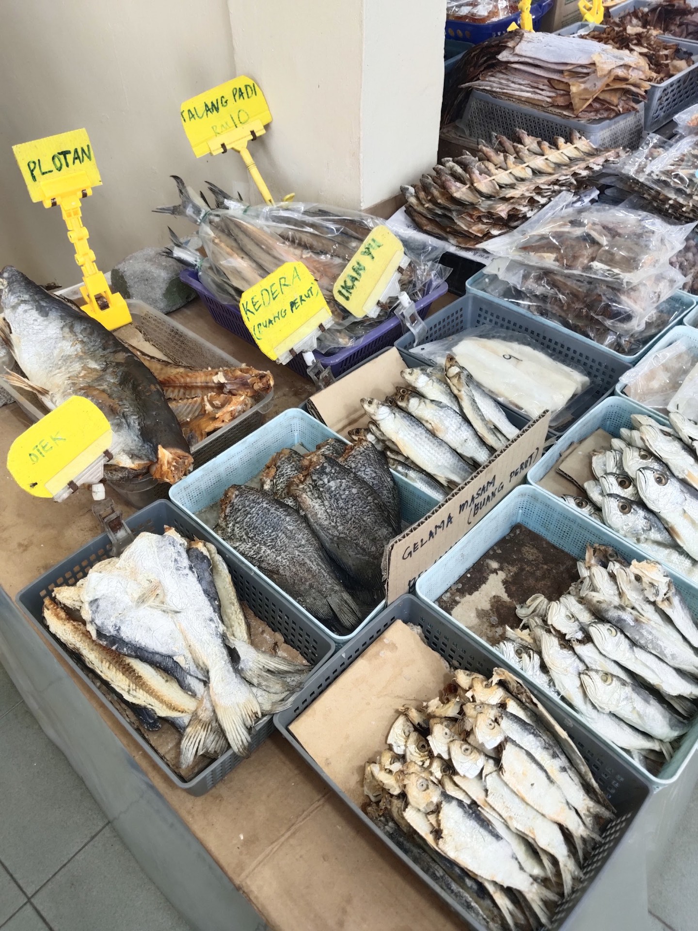 Arked Tanjung Dawai — Sorotan tempat