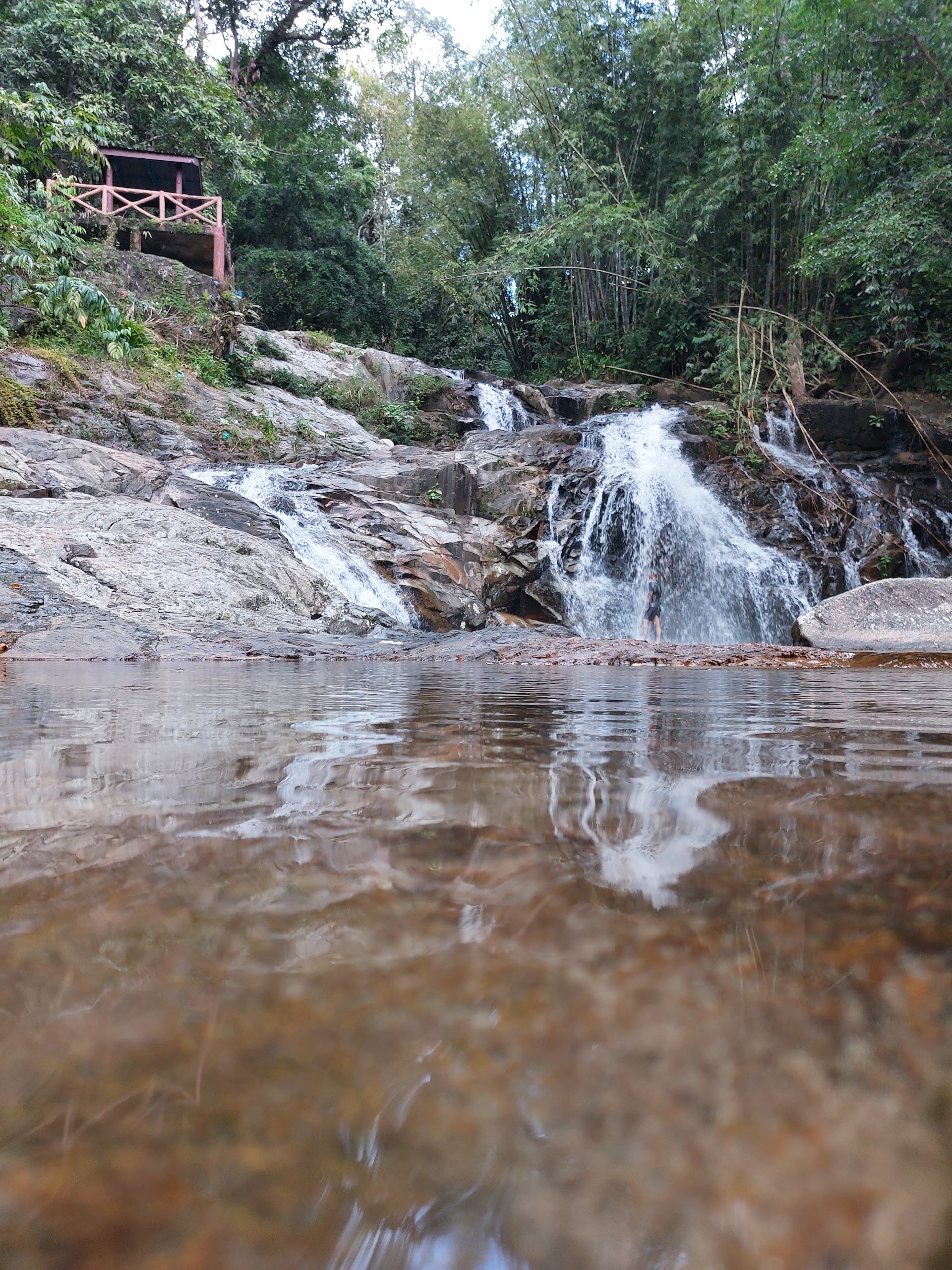 Gambar Taman Eko Rimba Lata Bayu