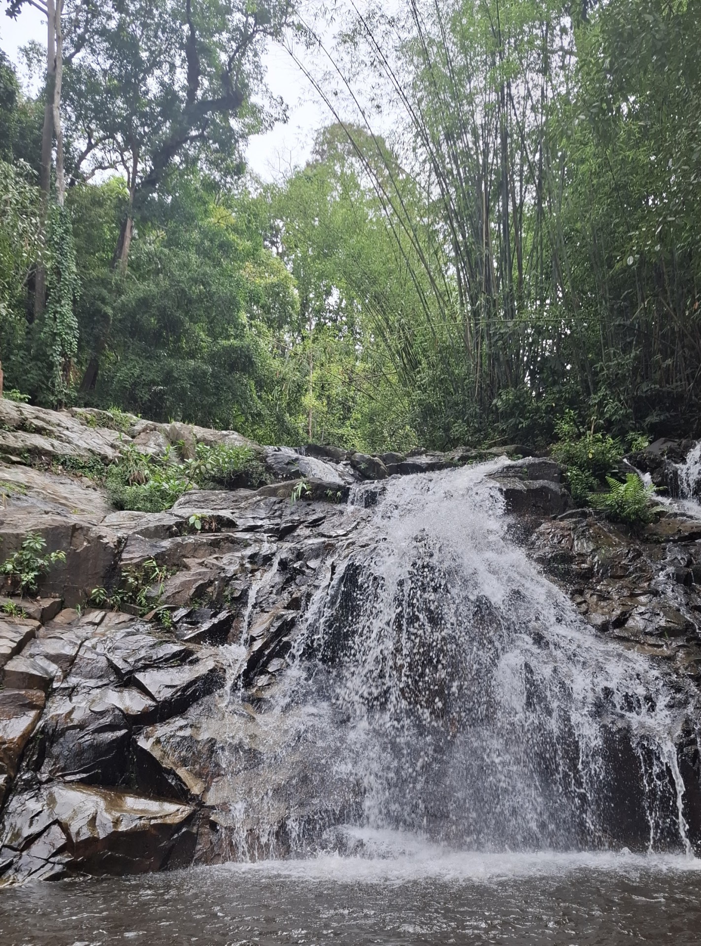 Taman Eko Rimba Lata Bayu — Sorotan tempat