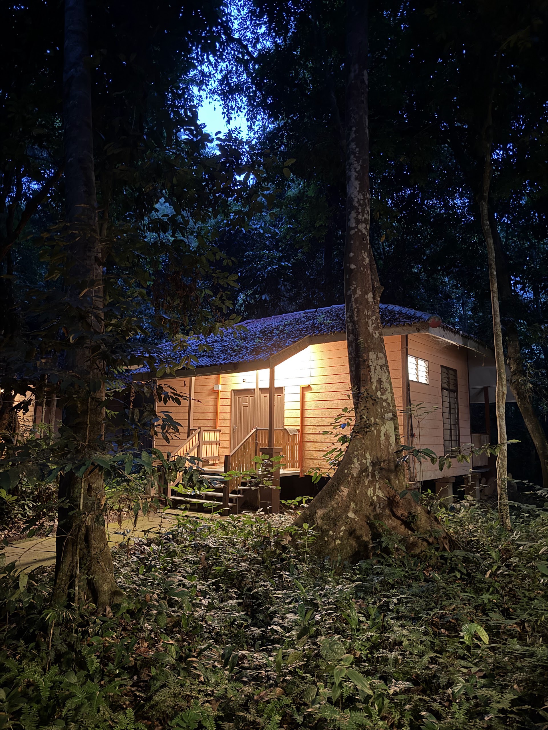 Gambar Earth Lodge Ulu Muda