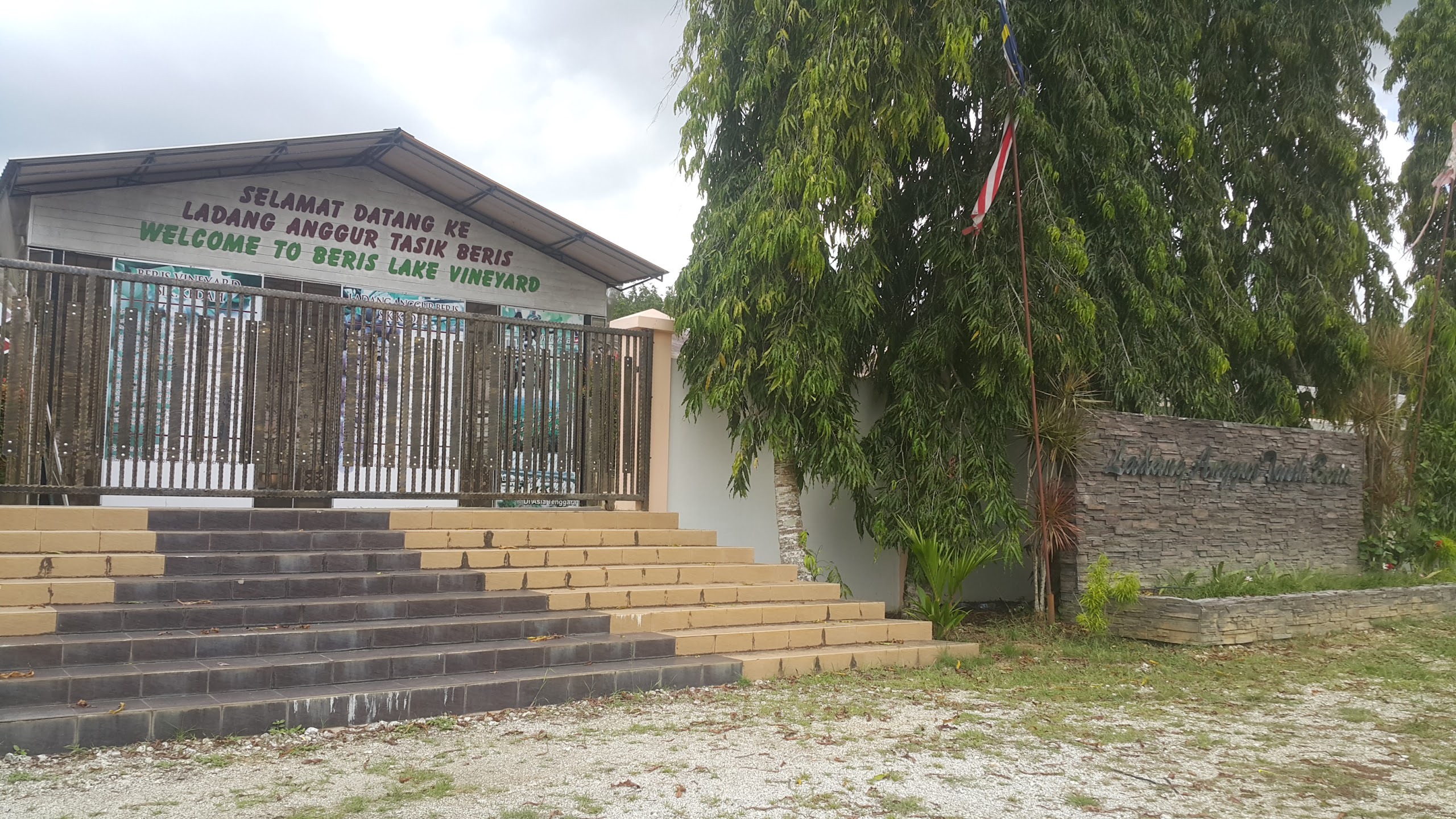 Gambar Ladang Anggur Tasik Beris (Beris Lake Vineyard)