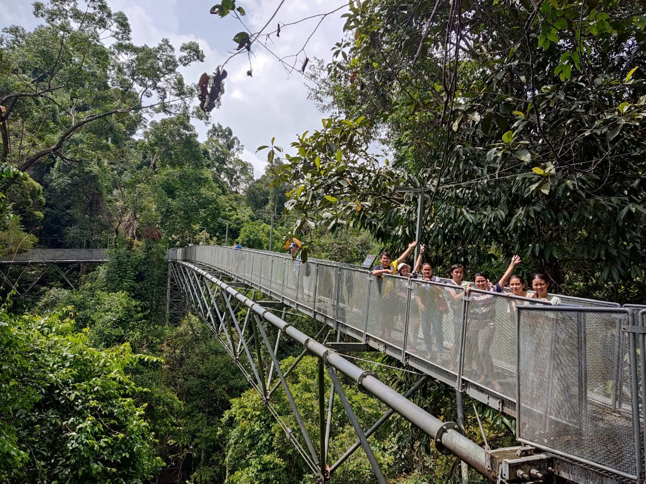 Tree Top Walk Sungai Sedim — Sudut tambahan 2