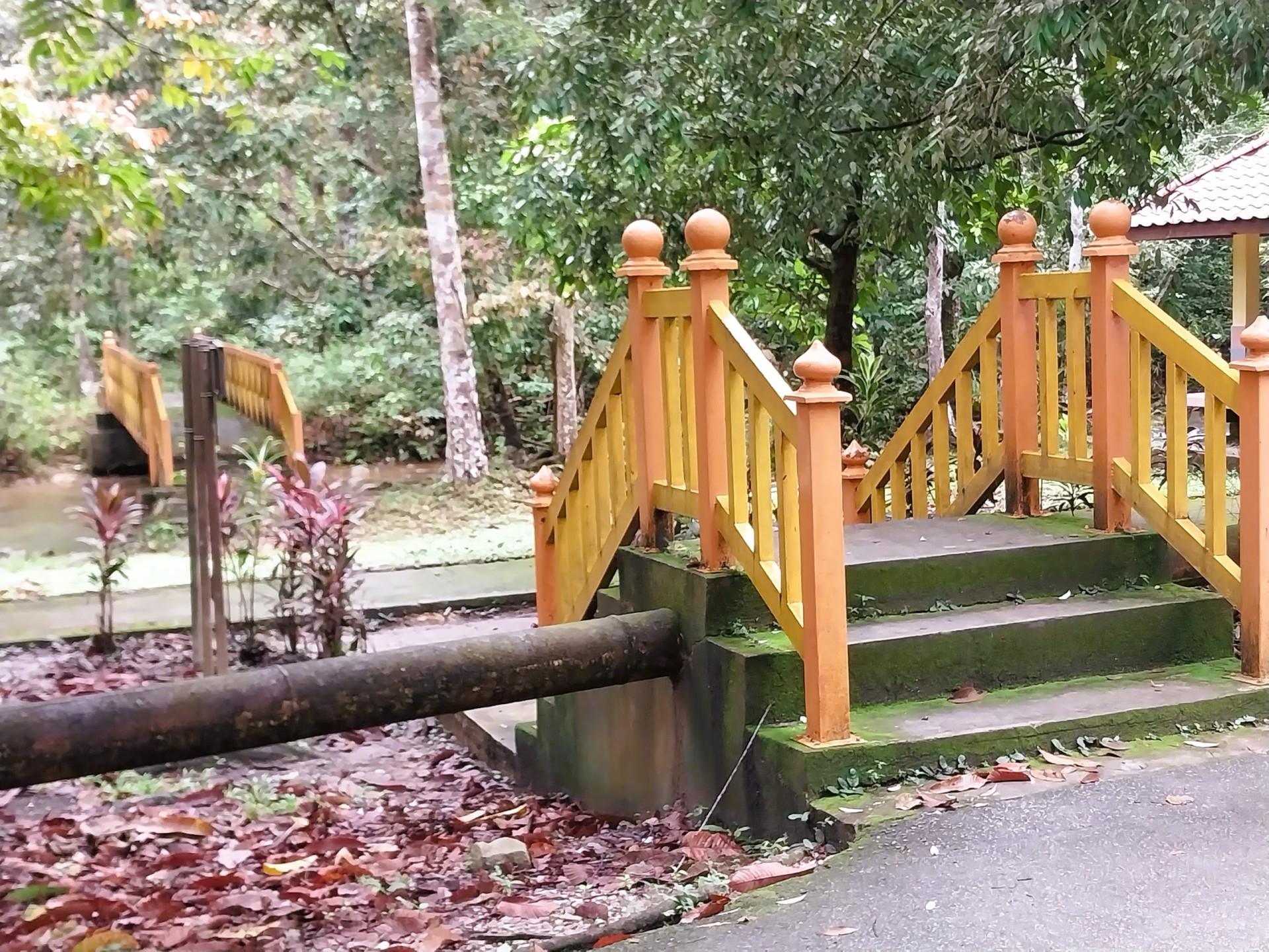 Taman Eko Rimba Ulu Paip — Sudut tambahan 2