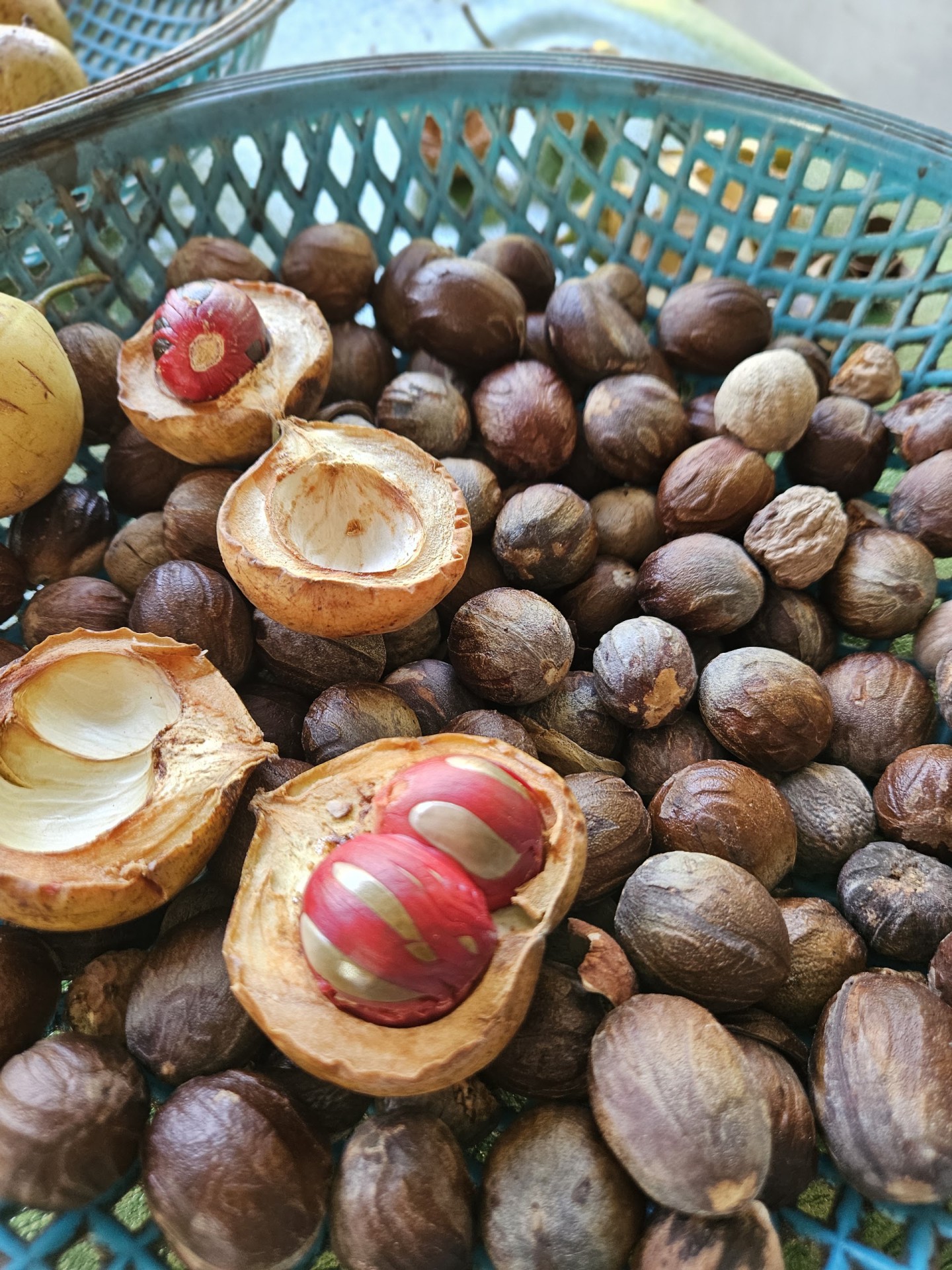 Kilang Buah Pala Ghee Hup — Sorotan tempat