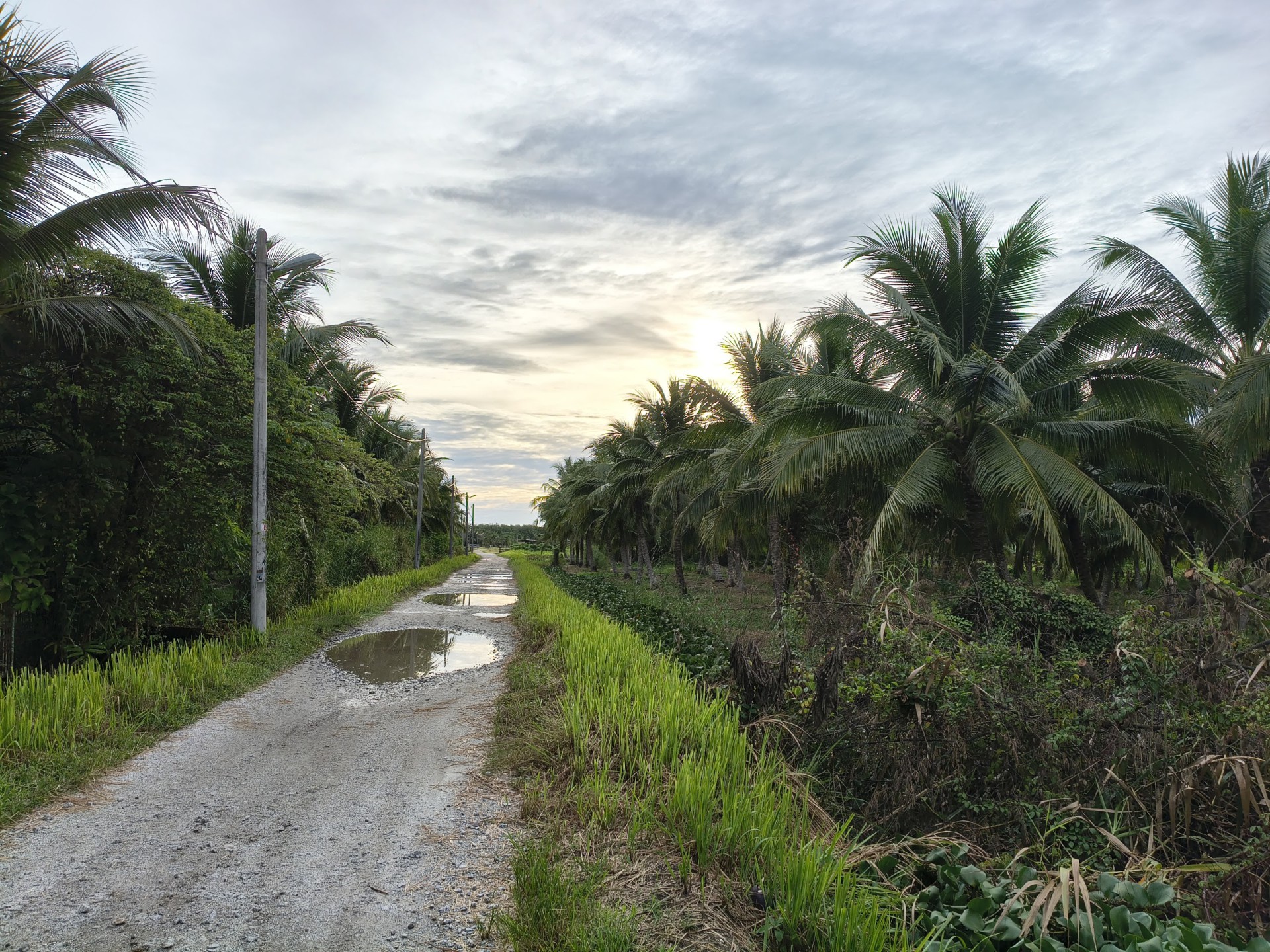 Penang ATV Eco Tour — Sudut tambahan 1