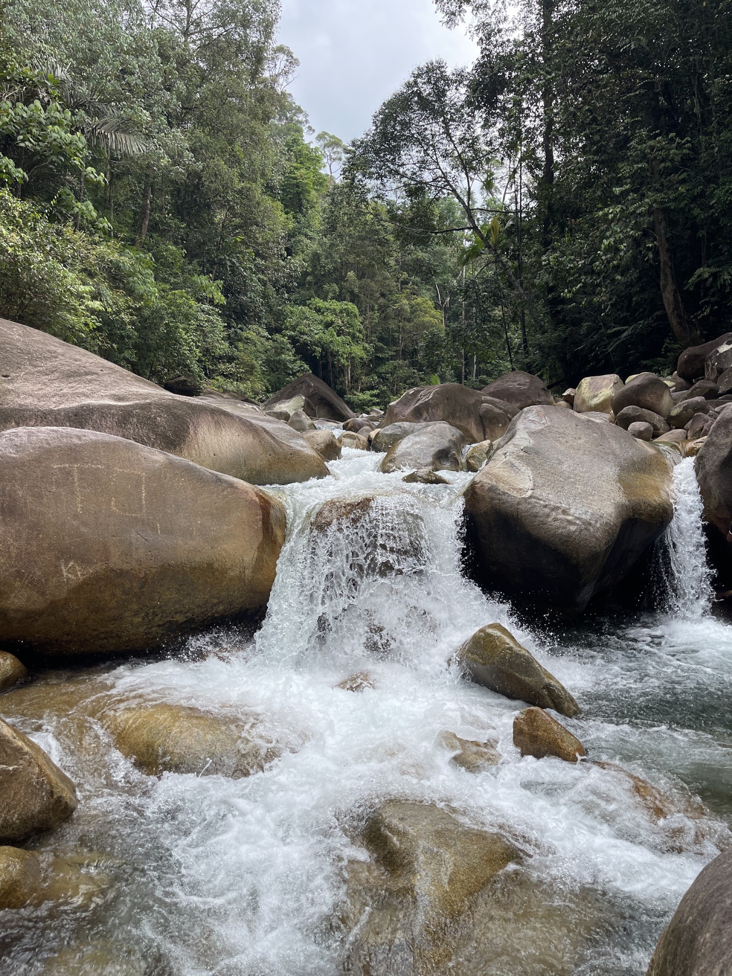 Taman Eko Rimba Lata Payung — Sorotan tempat