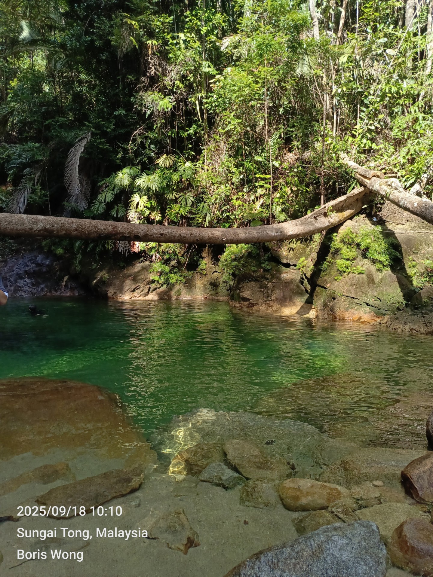 Taman Eko Rimba Lata Payung — Sudut tambahan 1