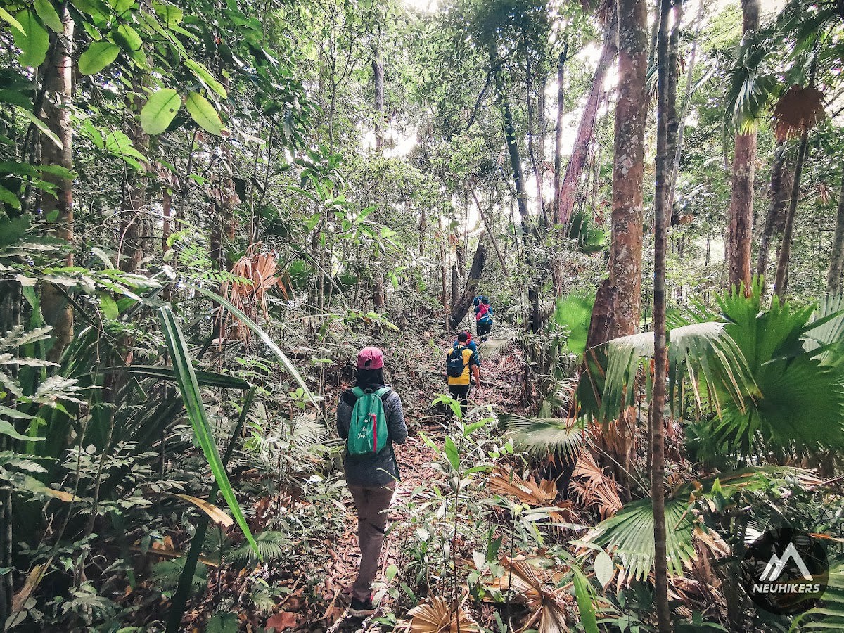 Taman Eko Rimba Bukit Bauk — Sudut tambahan 1