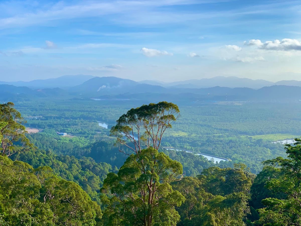 Taman Eko Rimba Bukit Bauk — Sorotan tempat