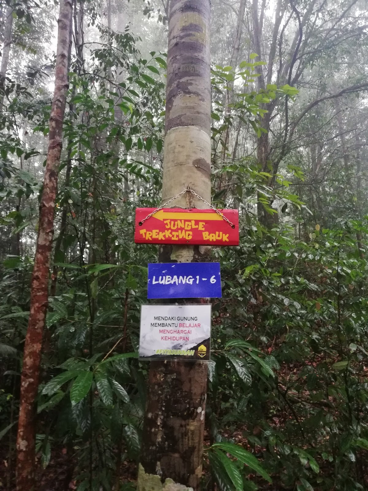 Taman Eko Rimba Bukit Bauk — Sudut tambahan 2