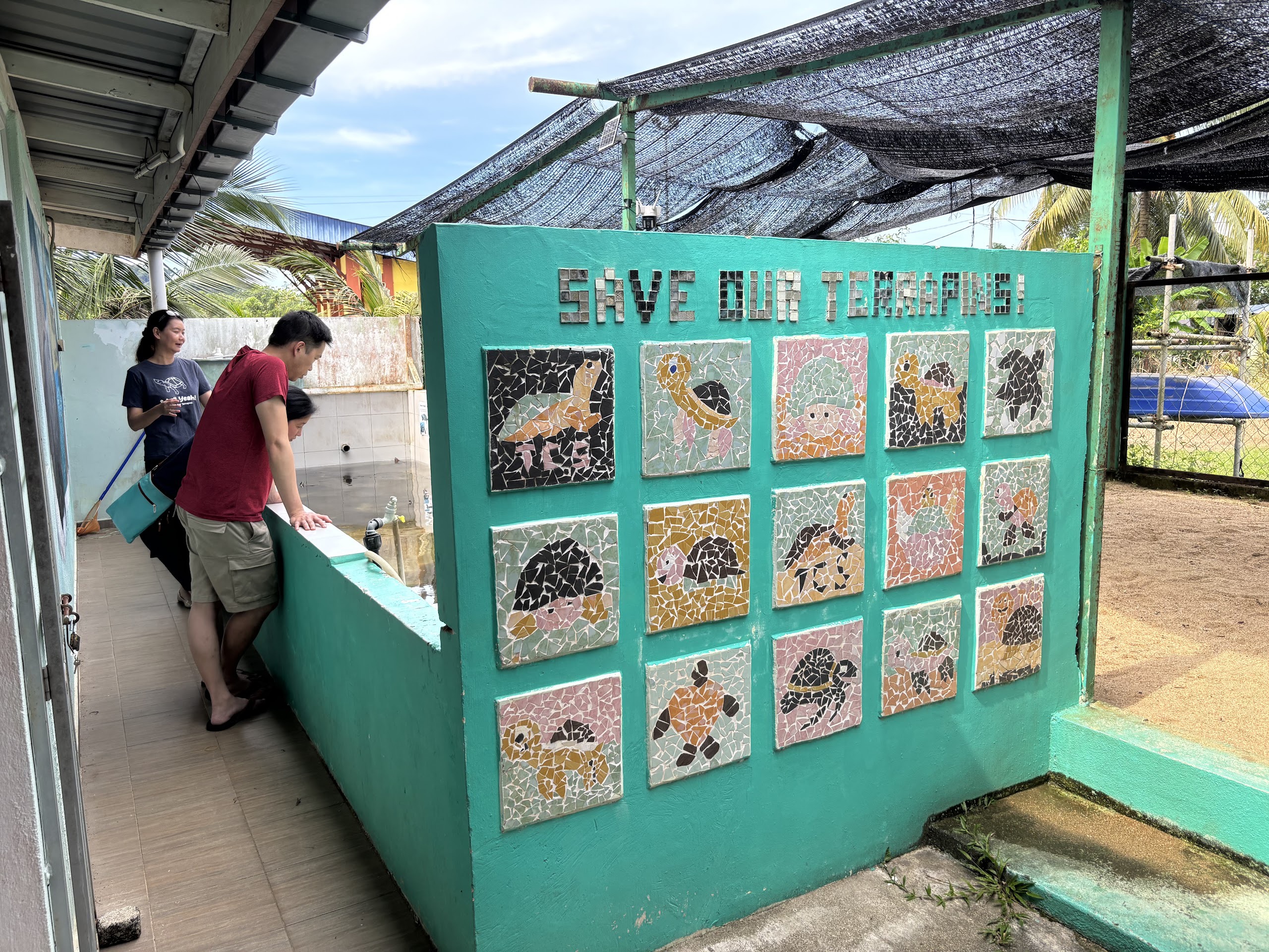 Gambar TCS River Terrapin Conservation Centre