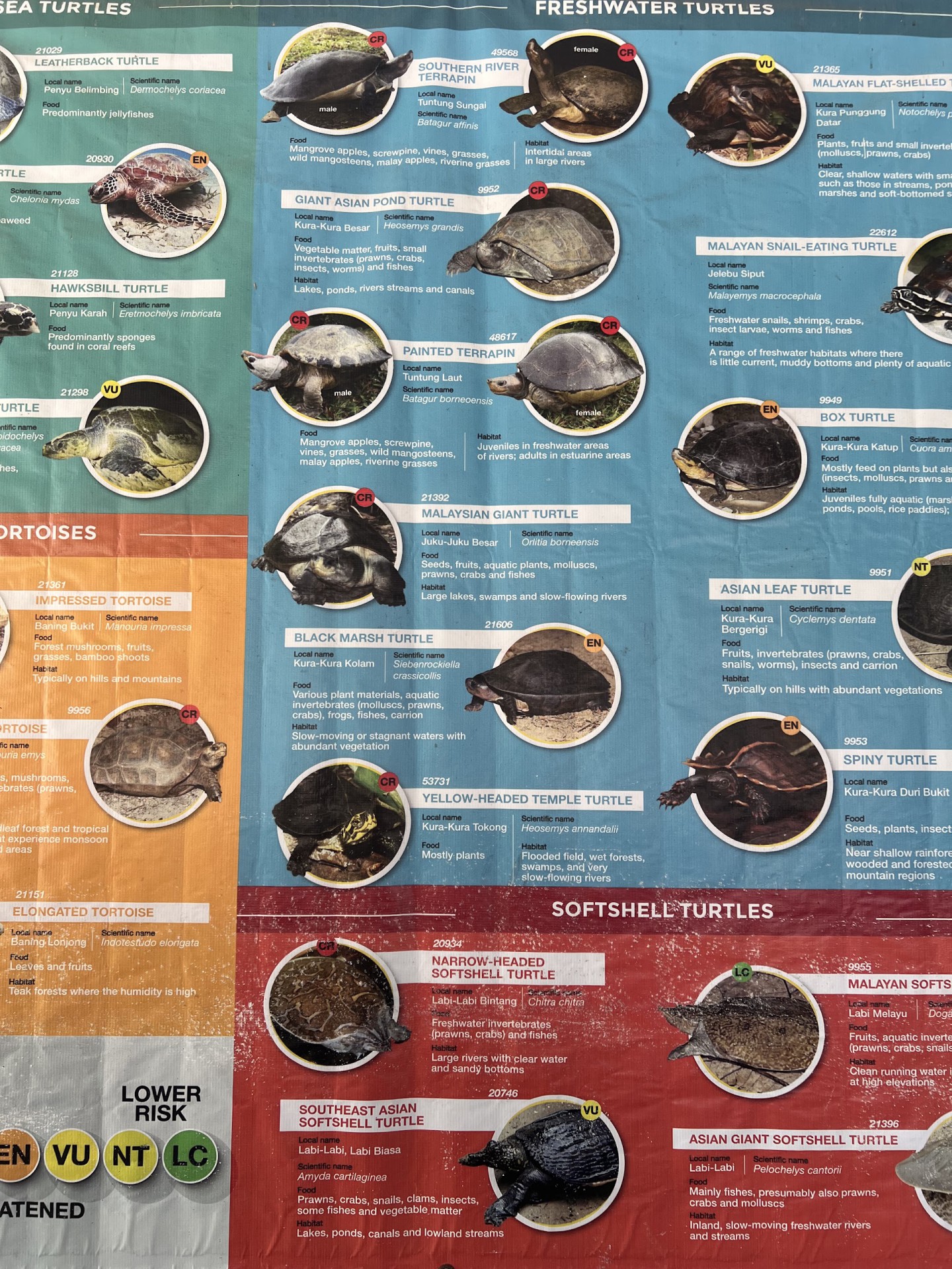 TCS River Terrapin Conservation Centre — Sudut tambahan 2