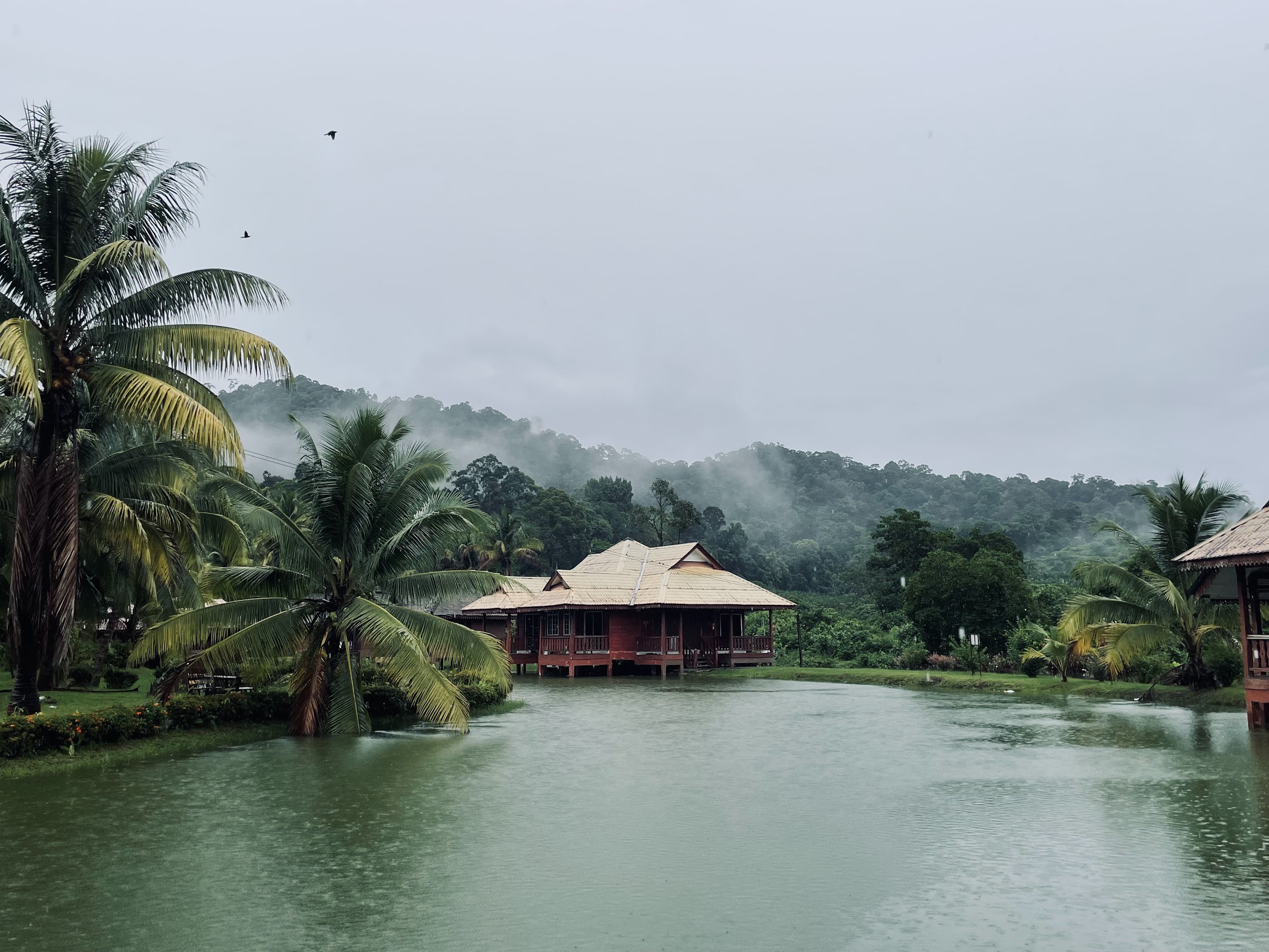 Gambar Peladang Setiu Agro Resort
