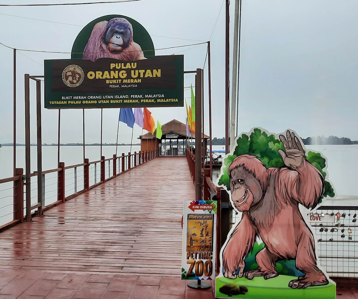 Gambar galeri Bukit Merah Orang Utan Island Foundation