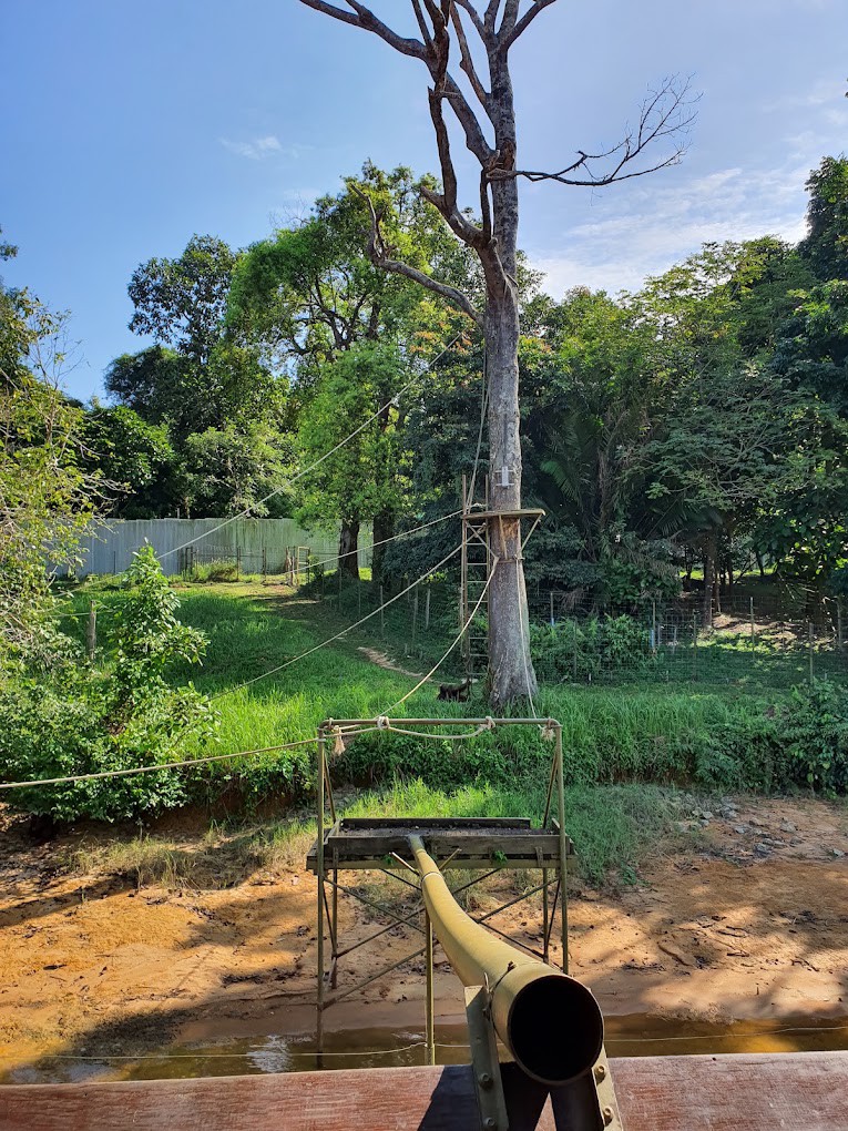Gambar galeri Bukit Merah Orang Utan Island Foundation