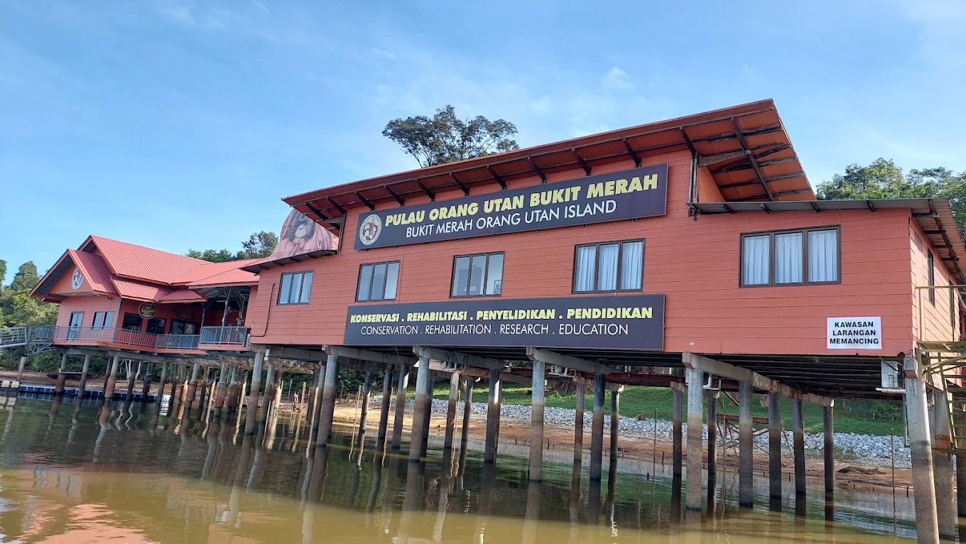 Gambar galeri Bukit Merah Orang Utan Island Foundation