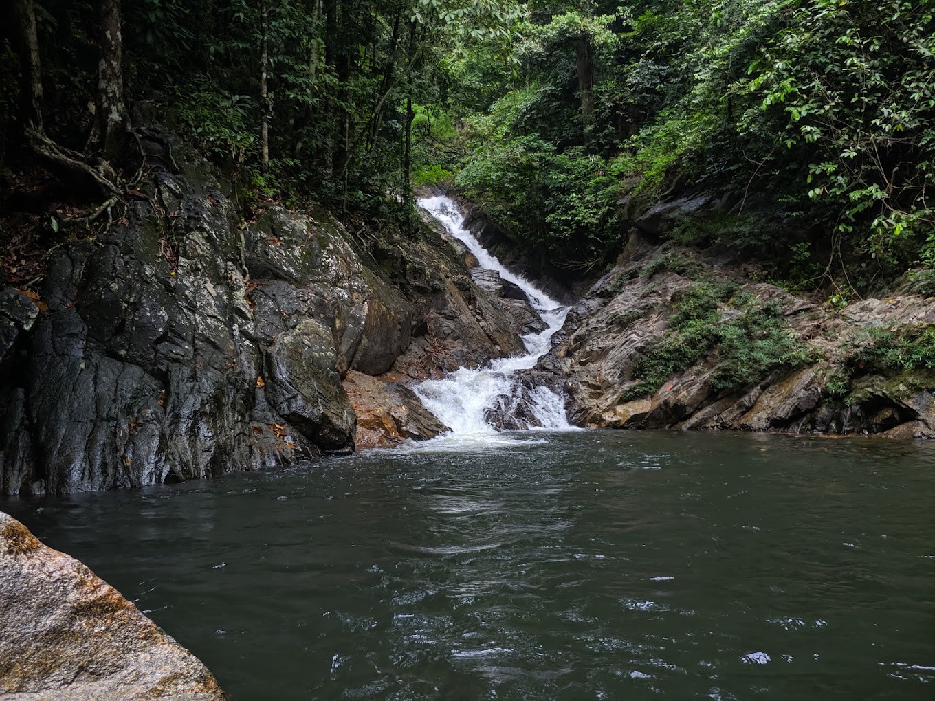 Gambar galeri Lata Jeram Linang