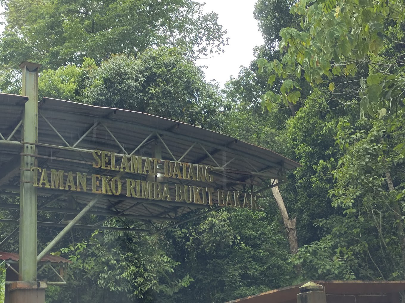 Gambar galeri Hutan Lipur Bukit Bakar