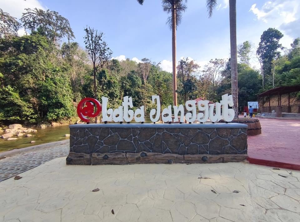 Gambar galeri Lata Janggut