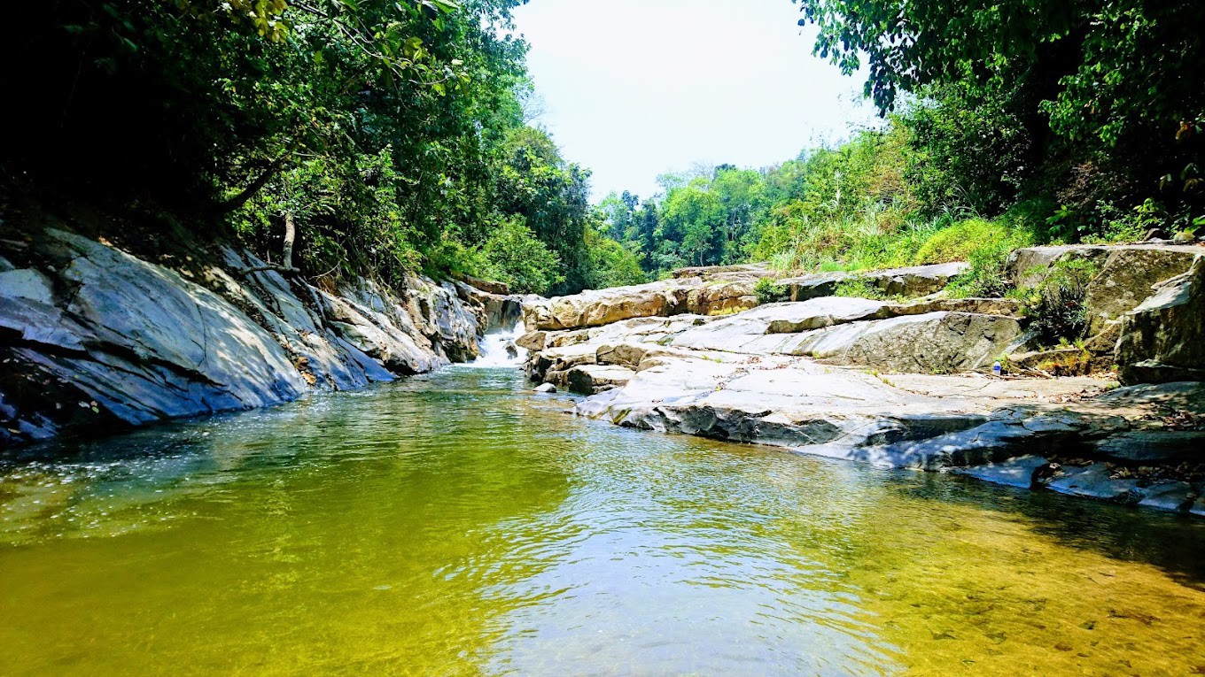 Gambar galeri Lata Janggut
