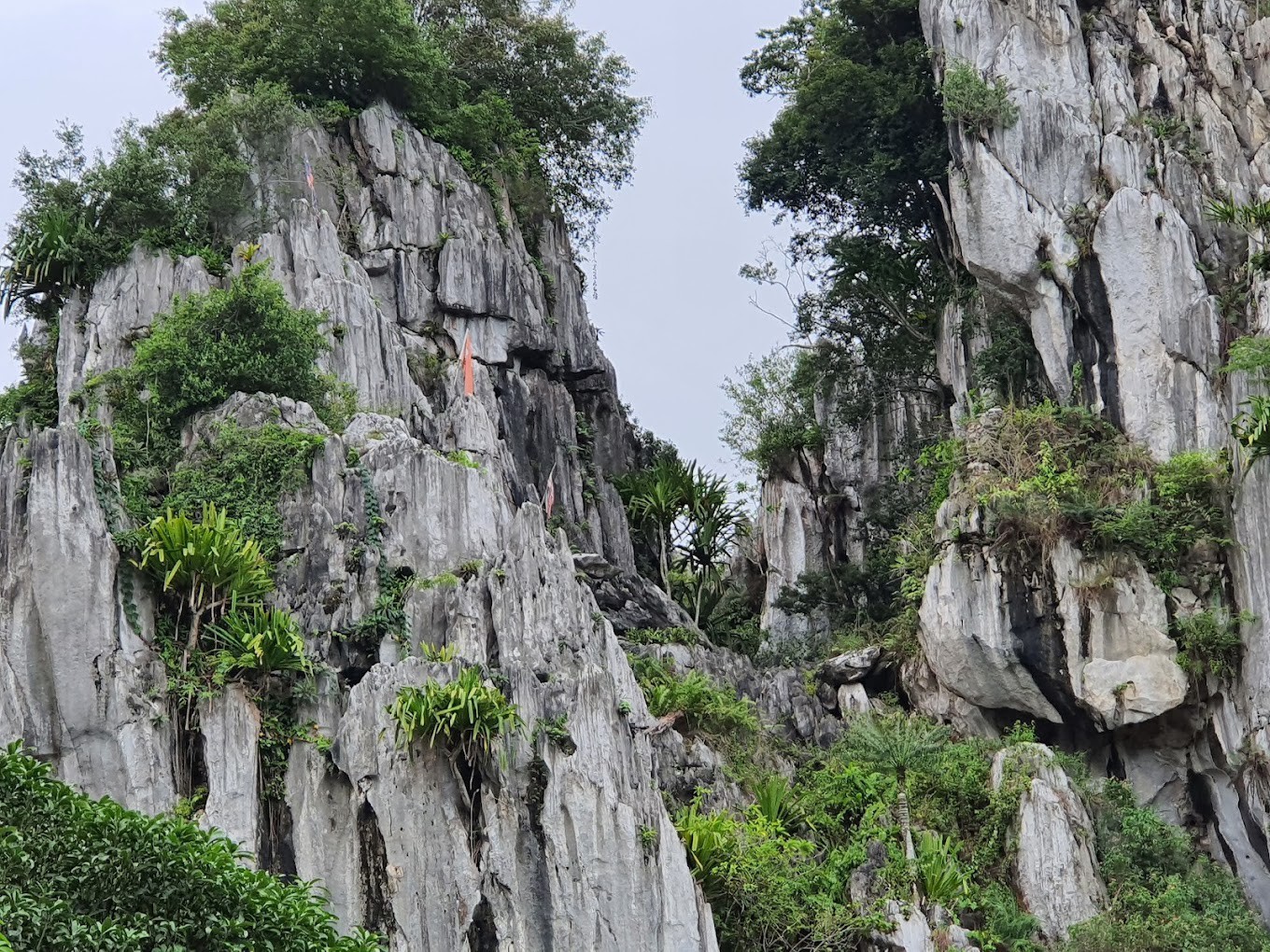 Gambar galeri Gua Chiku 2