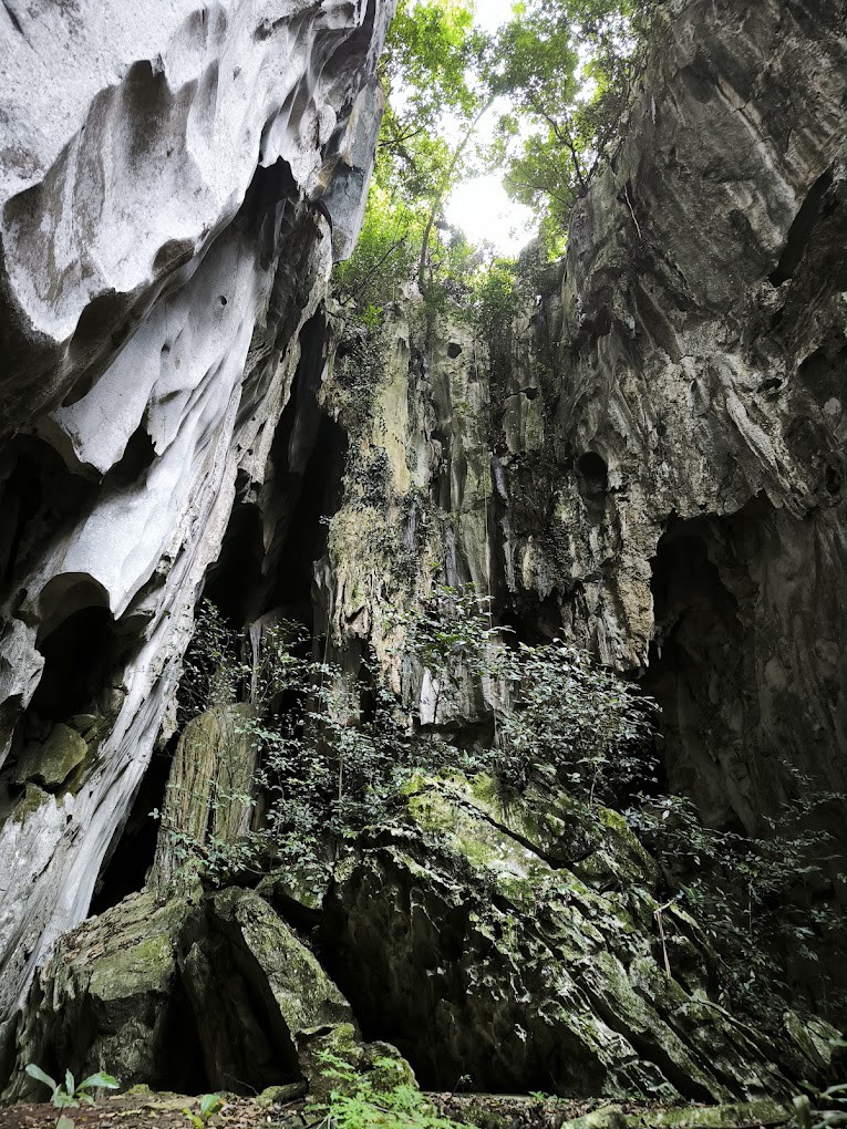 Gambar galeri Muse Ecopark