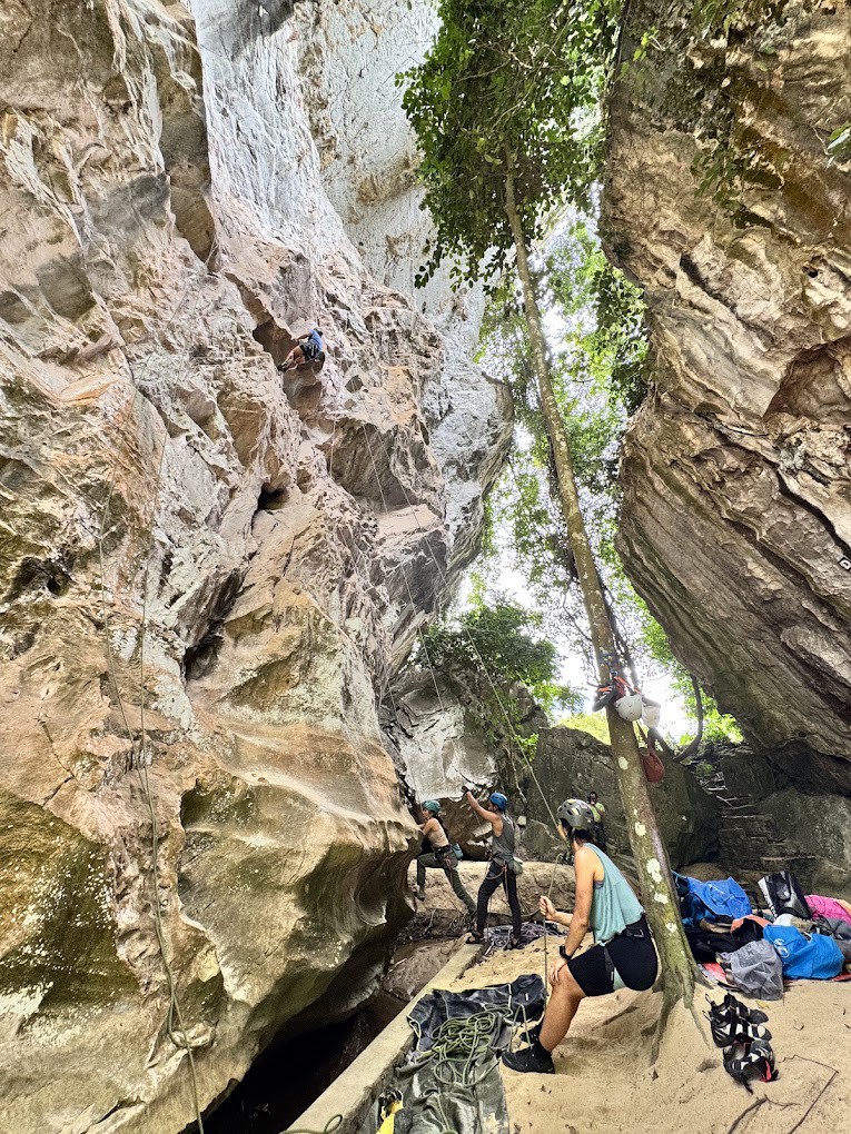 Gambar galeri Taman Etnobotani KESEDAR
