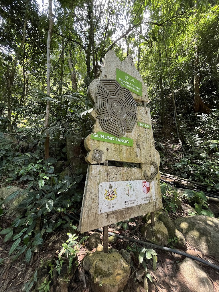 Gambar galeri Taman Konservasi Rafflesia Tanah Tinggi Lojing