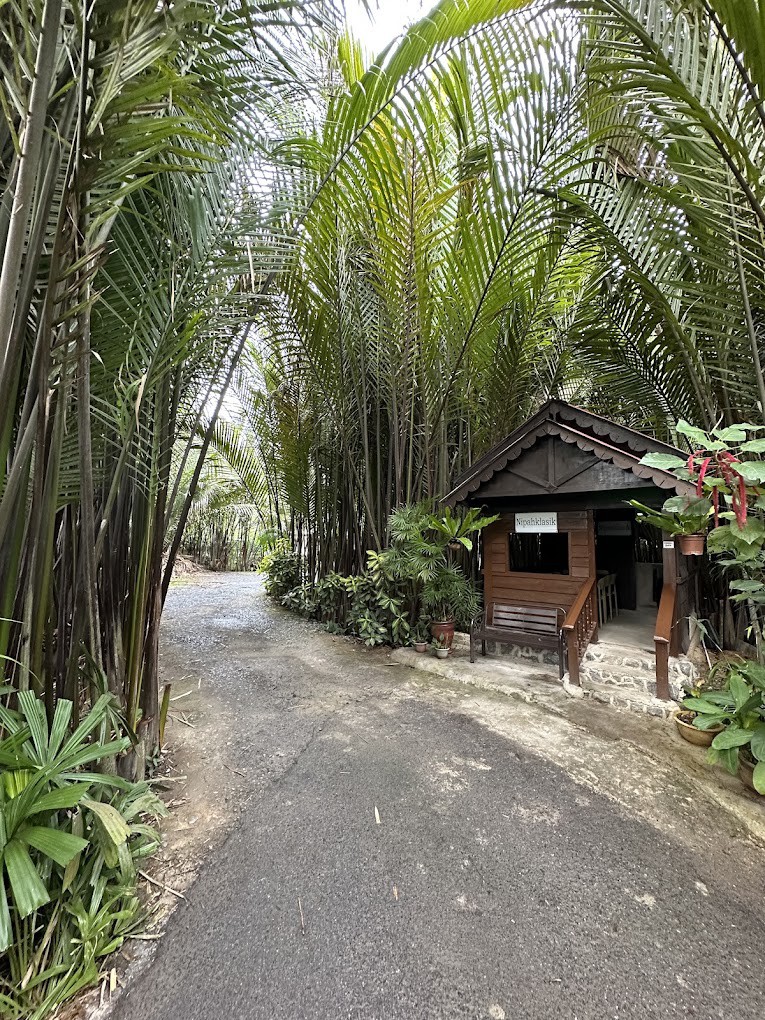 Gambar galeri Nipah Klasik