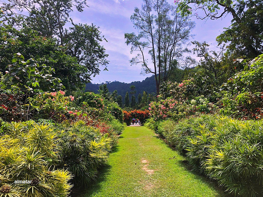 Gambar galeri Taman Botani Pulau Pinang