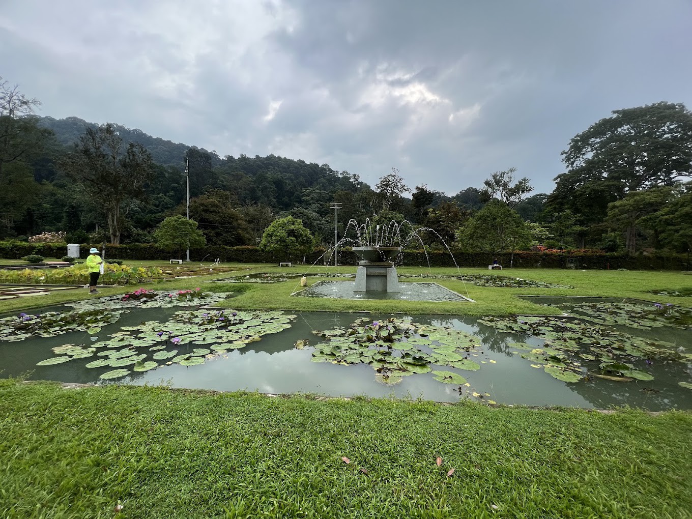 Gambar galeri Taman Botani Pulau Pinang