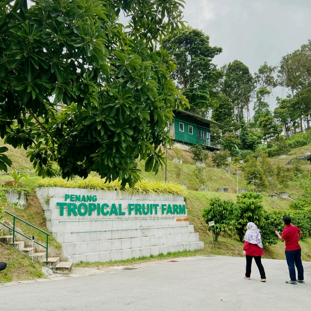 Gambar Penang Tropical Fruit Farm