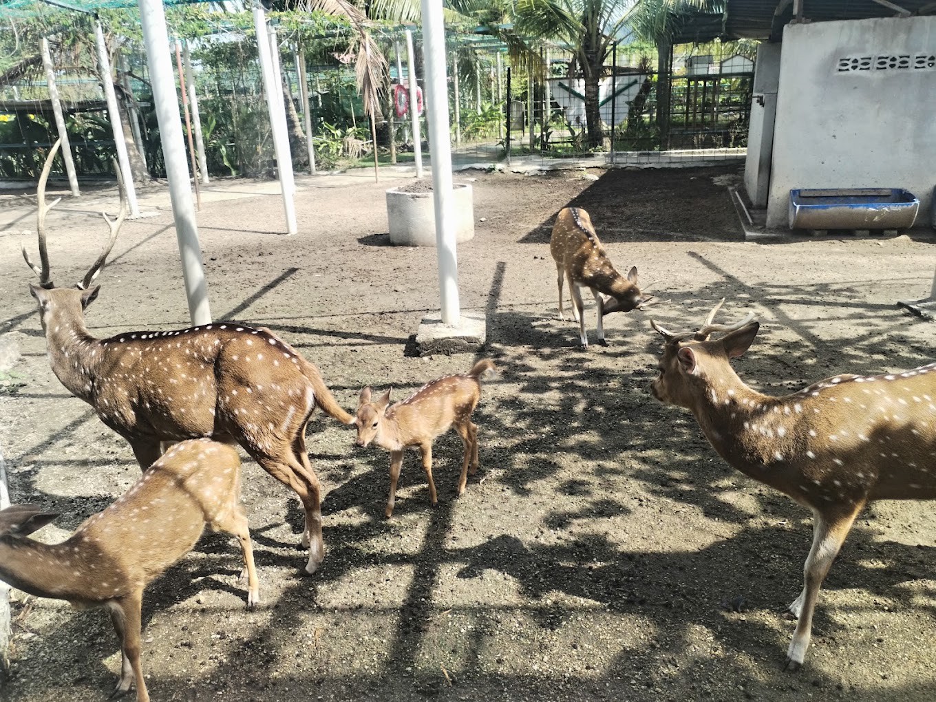 Gambar galeri Audi Dream Farm